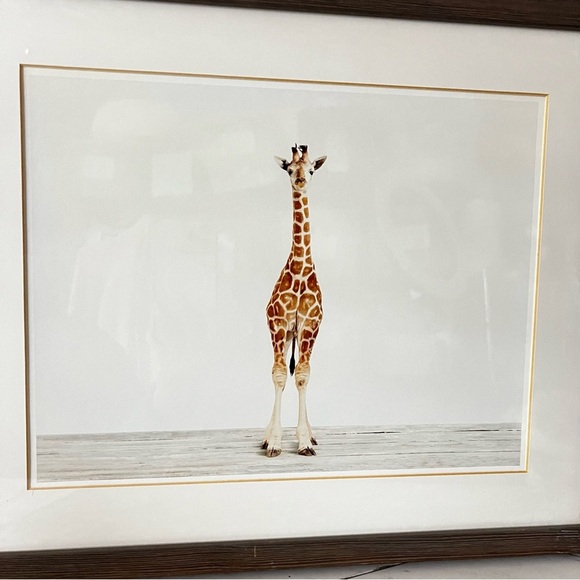 Restoration Hardware Baby Animal Portrait Giraffe Weathered Grey Frame Brown HR - Picture 7 of 15